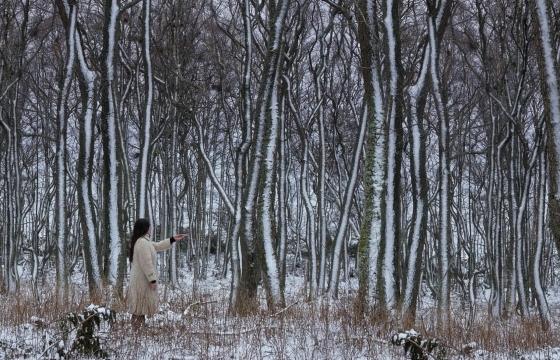 Väritön kuva talvisesta maisemasta, jossa kävelee valkopukuinen ihminen