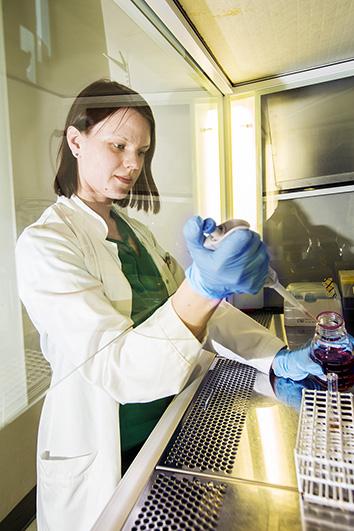 Tutkija Annukka Pietikäinen tutkii laboratorioissa borrelioosin leviämismekanismeja proteiinitasolla.