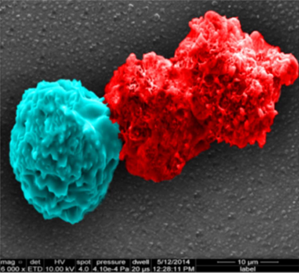 Nanorokotteilla syövän kimppuun