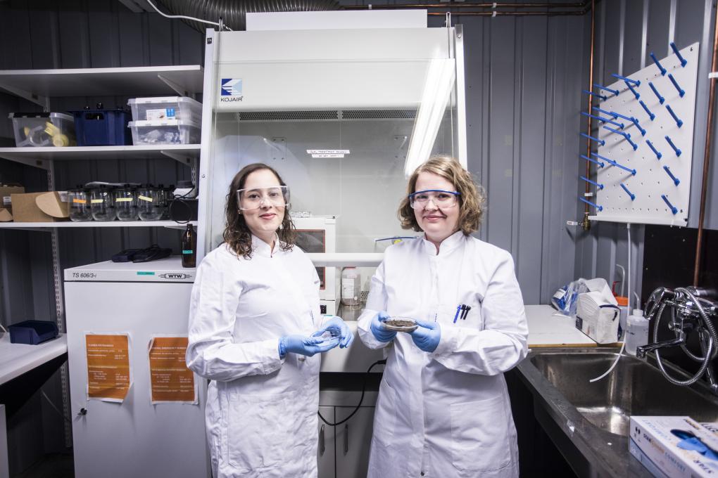 Kaksi tutkijaa seisoo laboratoriossa valkoisissa takeissa tutkimusmaljat käsissään.