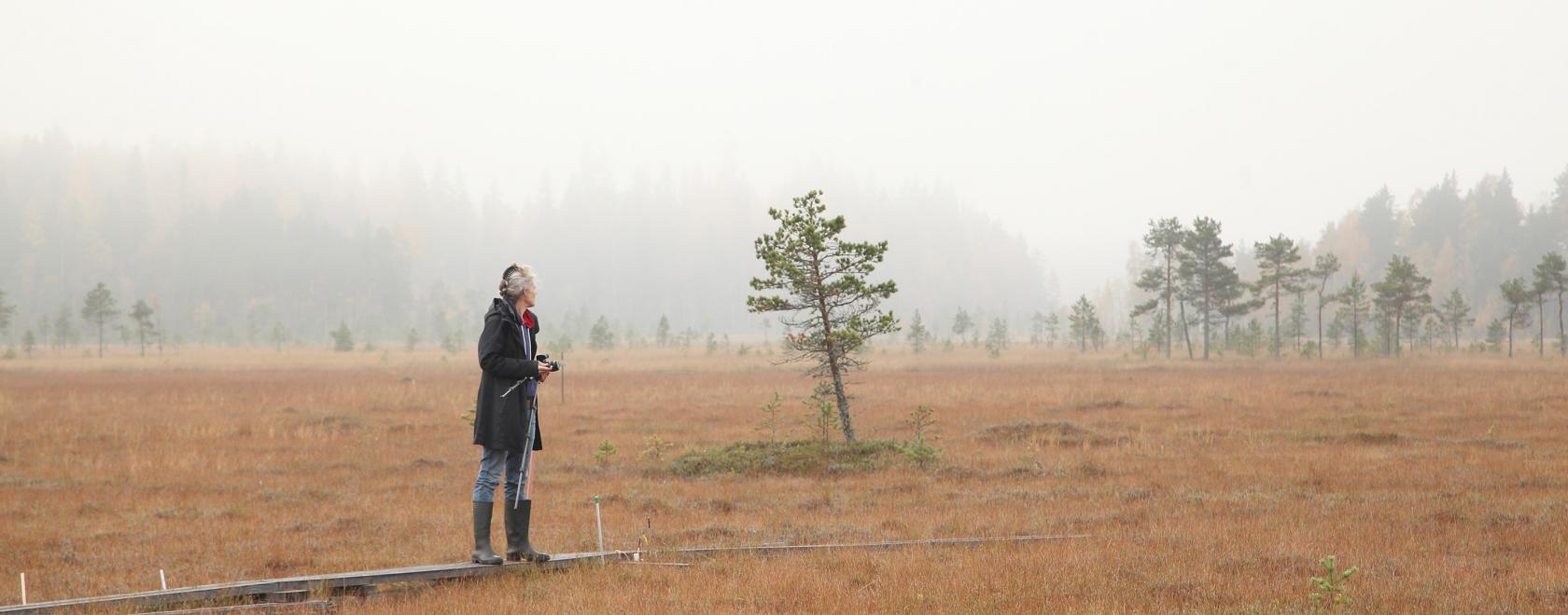 Agnes Meyer-Brandis Siikanevan suolla lokakuussa 2020. Kuva: Agnes Meyer-Brandis
