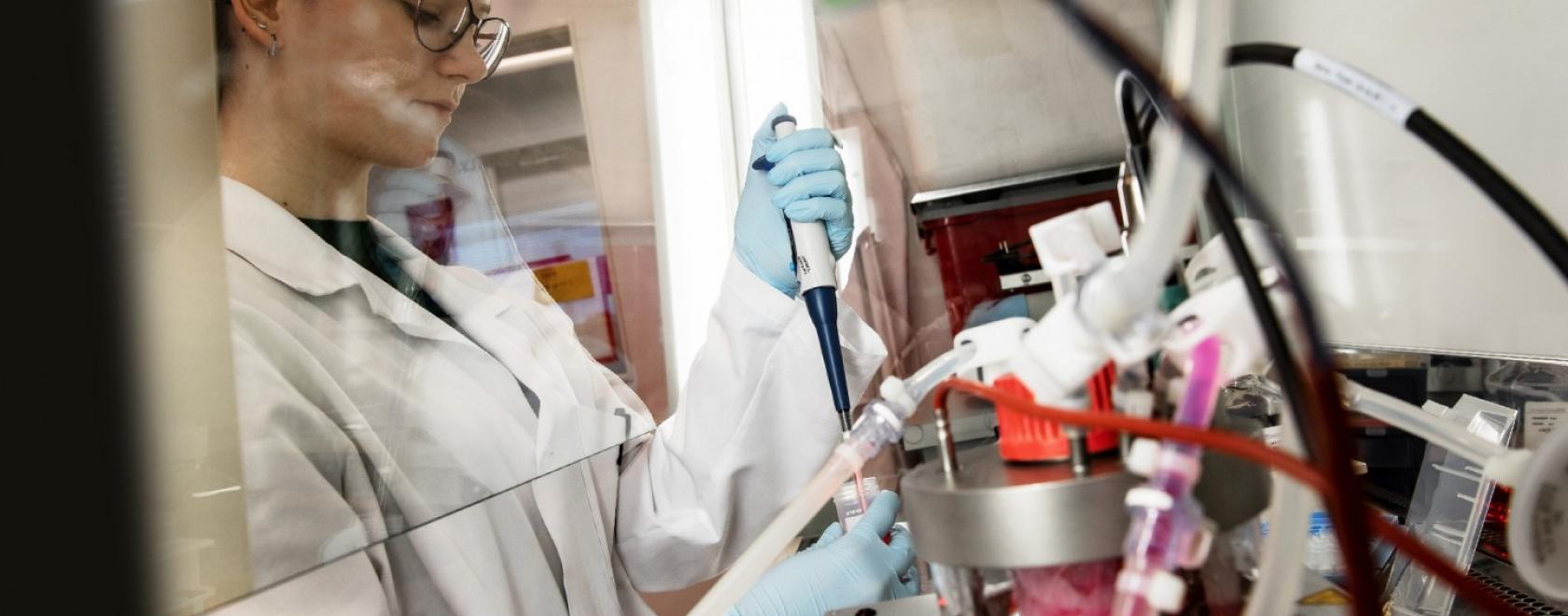 Bioreaktorilla tuotettua rokotetta jatkokäsitellään steriilissä laminaarikaapissa. Kuva on Kansallisen virusvektorilaboratorion tiloista Itä-Suomen yliopiston A.I. Virtanen -instituutista. 