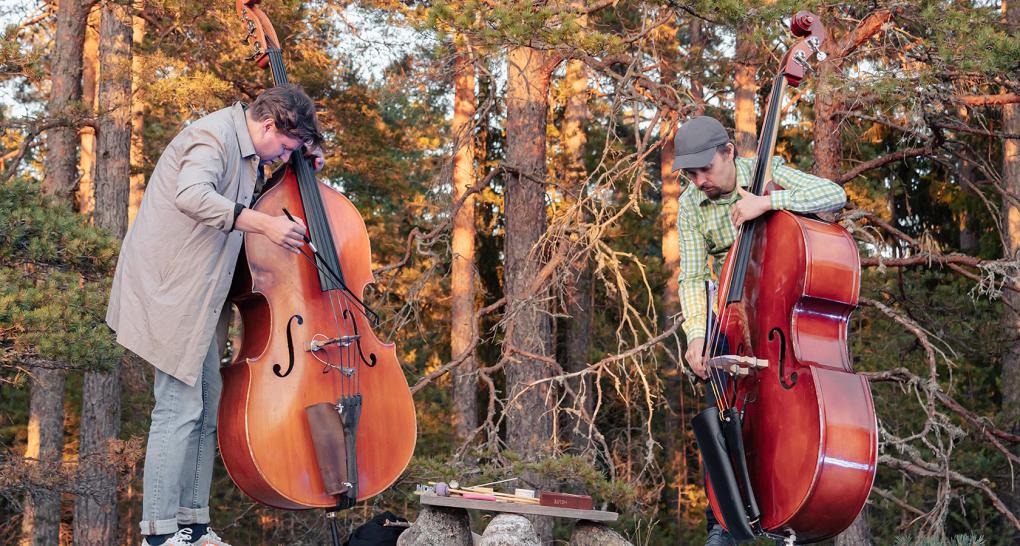 Korpo Sea Jazzin metsäkonsertti. Kuva: Aleks Talve