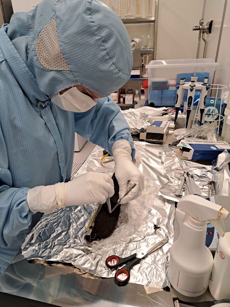 Laboratorioasuinen ihminen tutkimassa näytettä.