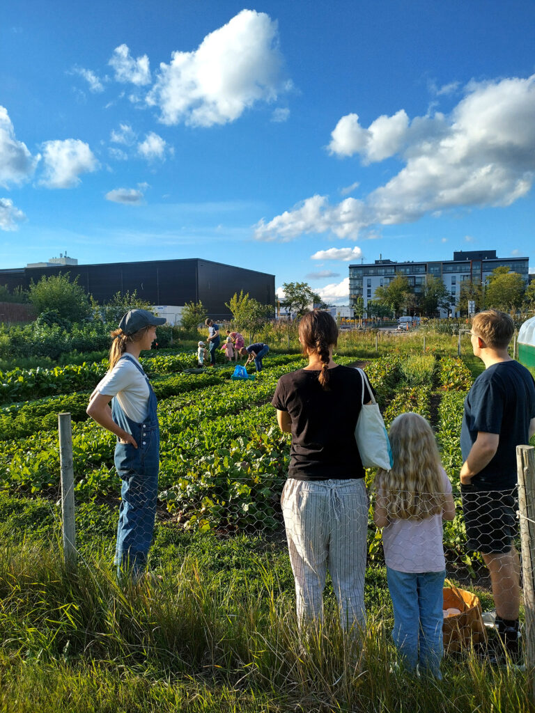Ihmisiä kesäisenä päivänä vihreän viljelypalstan äärellä